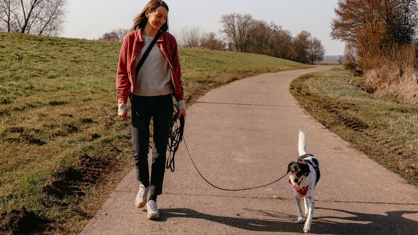 8 Ideen für gemeinsame Zeit mit deinem Hund OHNE Zubehör