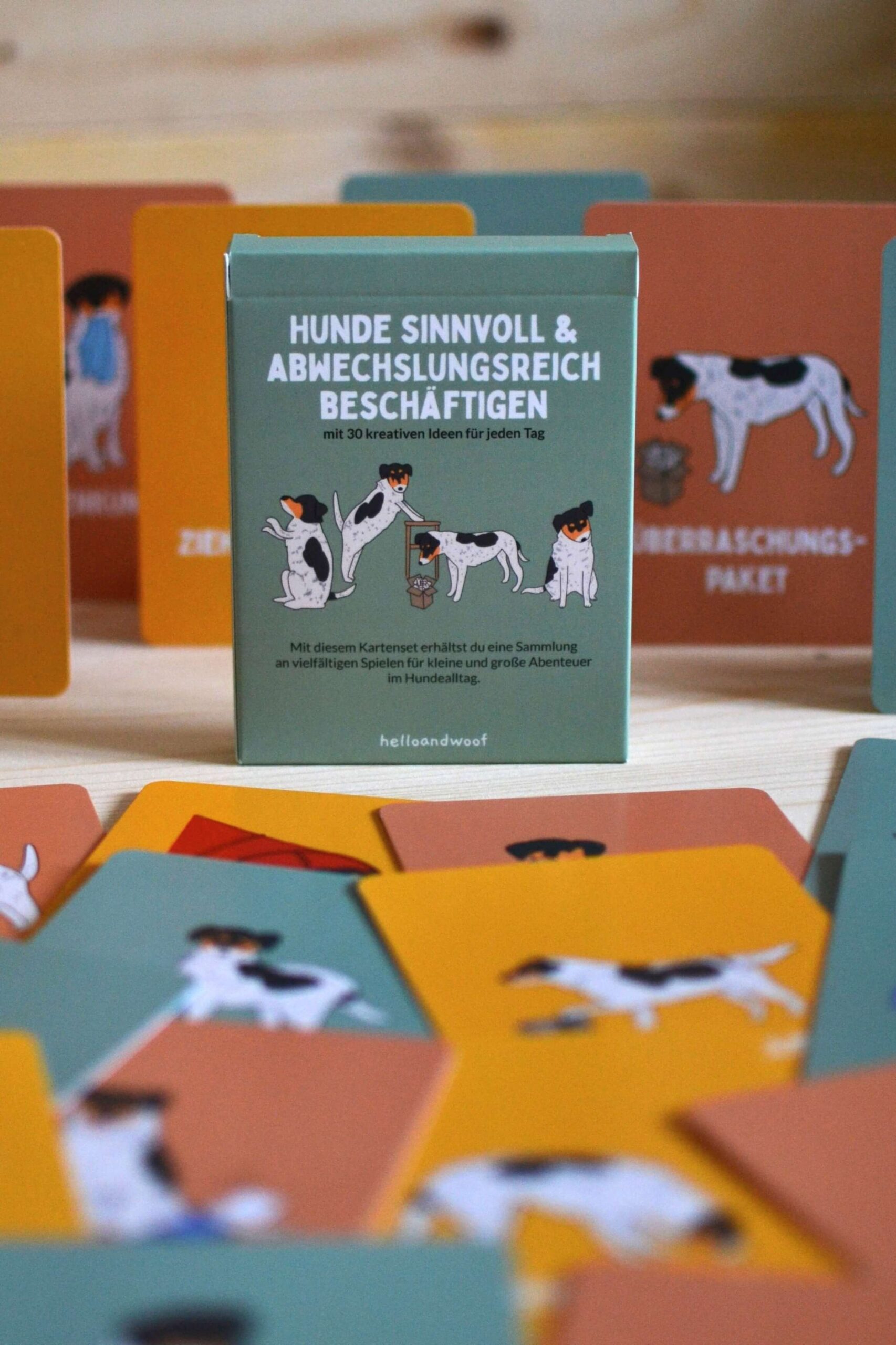 Kartenset von helloandwoof mit 30 Beschäftigungsideen für Hunde