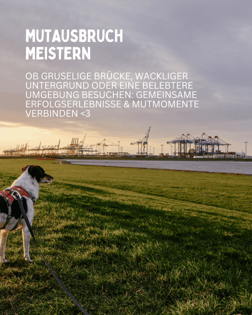 mutausbruch-meistern