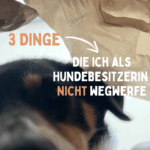 Instagram Reel (1)