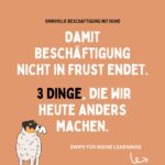 Instagram Beitrag (1)