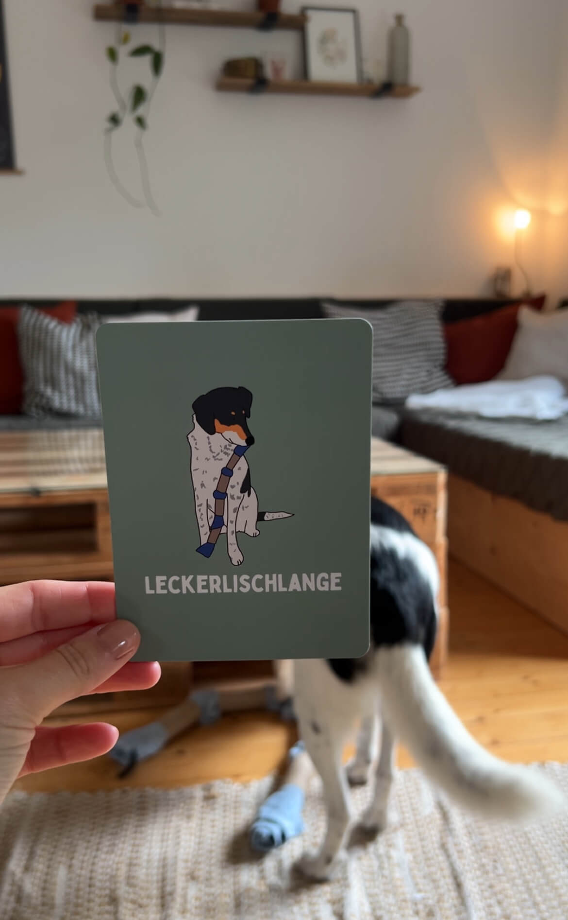 Leckerlischlange: DIY-Beschäftigung für deinen Hund