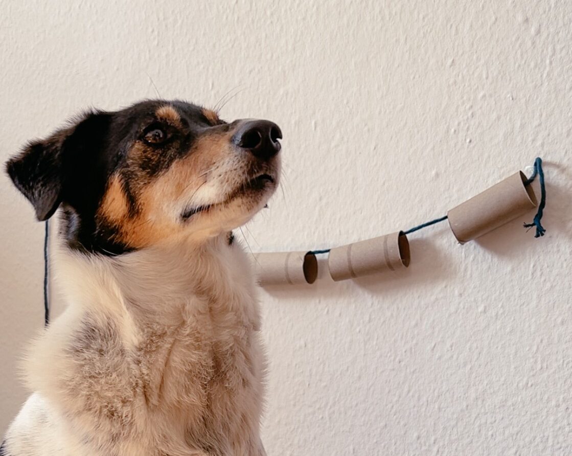 Leckerligirlande: Beschäftigungsidee für Hunde