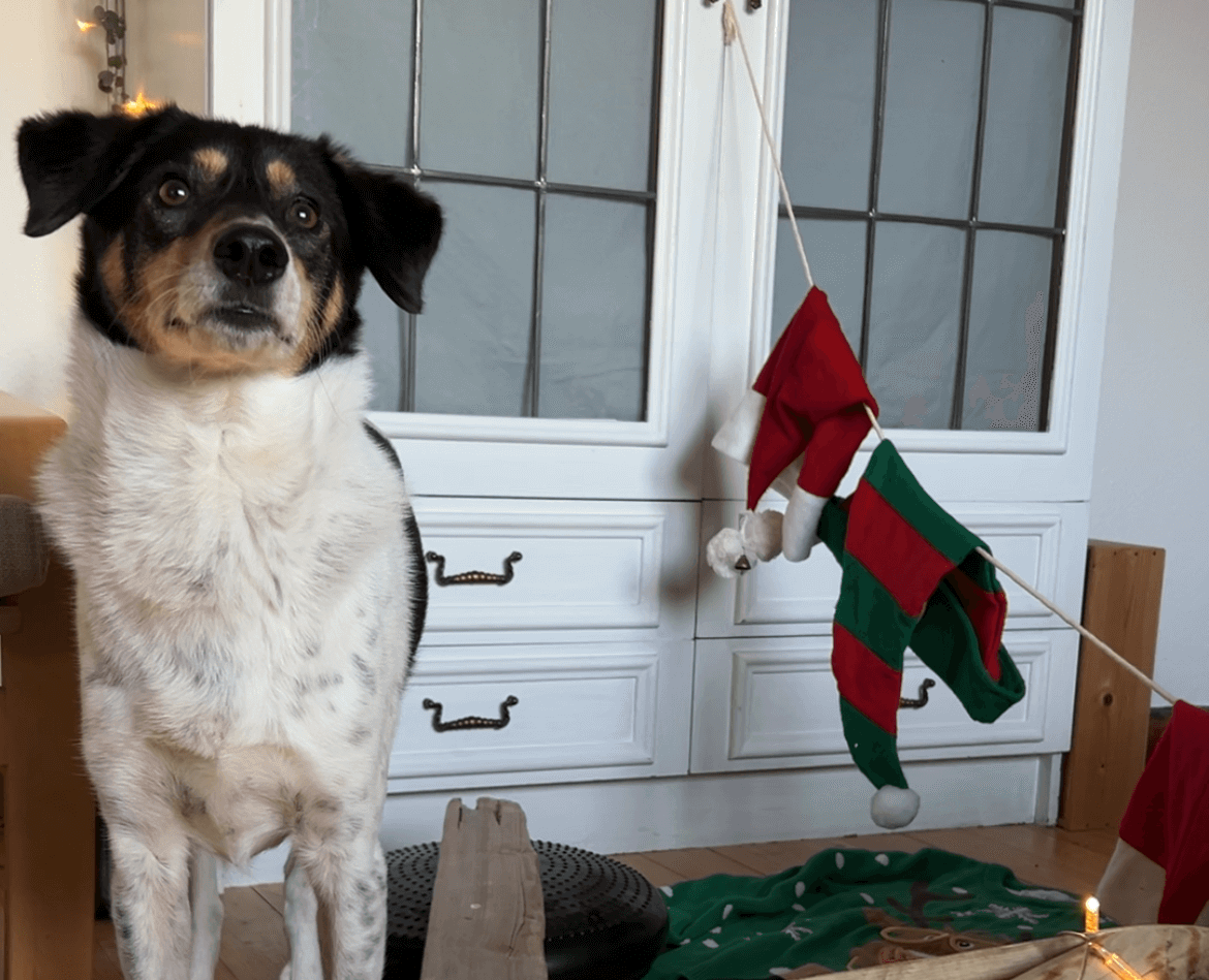 Weihnachtliche DIY-Beschäftigung