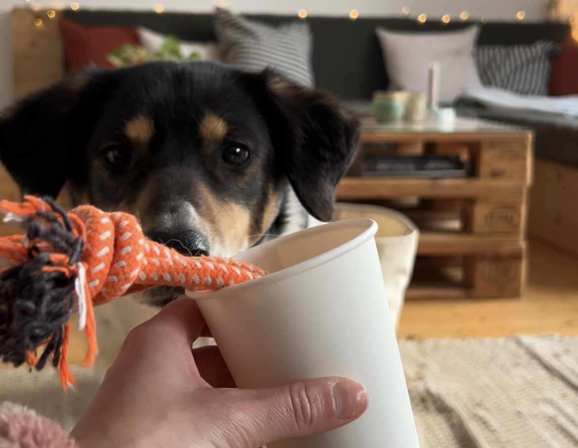 Stuffed Cups – Hundebeschäftigung mit Bechern